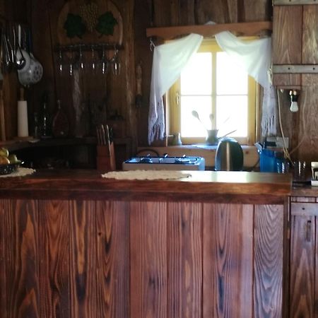 Vacation House Spiritus Flumine Netretic Eksteriør bilde